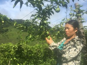 trong-chan-leo-lai-gap-ba-ngo