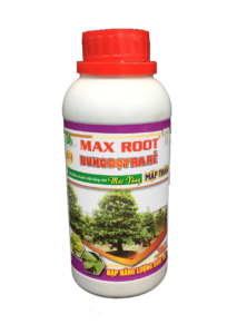 PHÂN BÓN CHO MAI VÀNG BUNG ĐỌT RA RỄ MAX ROOT CHAI 0,5 LÍT