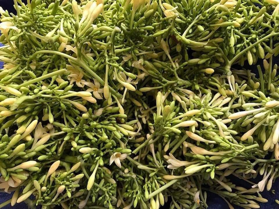 Loai-hoa-thuong-cat-bo-di-say-kho-thanh-dac-san-15-trieu-kg-du-du-duc-1-1565589971-width960height720