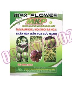 Max flower MKP Hộp 1kg