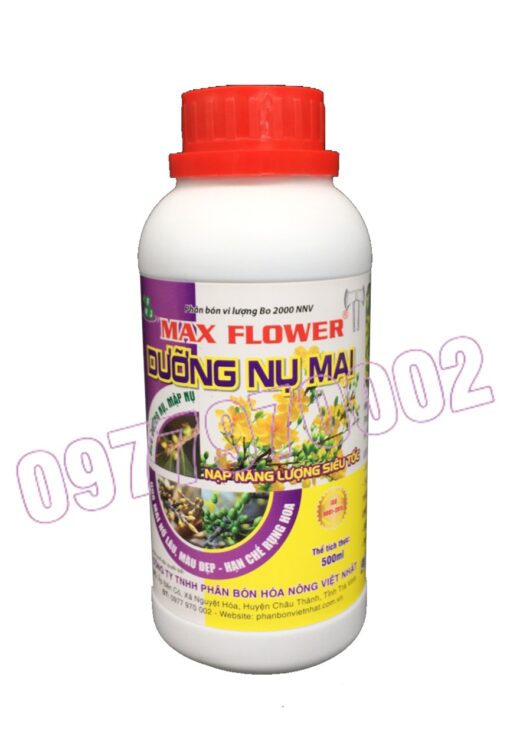 Max flower Dưỡng nụ mai 500ml