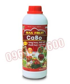Max fruit Cabo Chai 1 lít