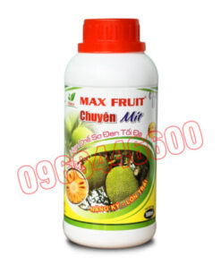 Max fruit Chuyên mít Chai 500ml