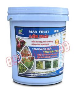 Max fruit Siêu lớn trái Xô 20kg