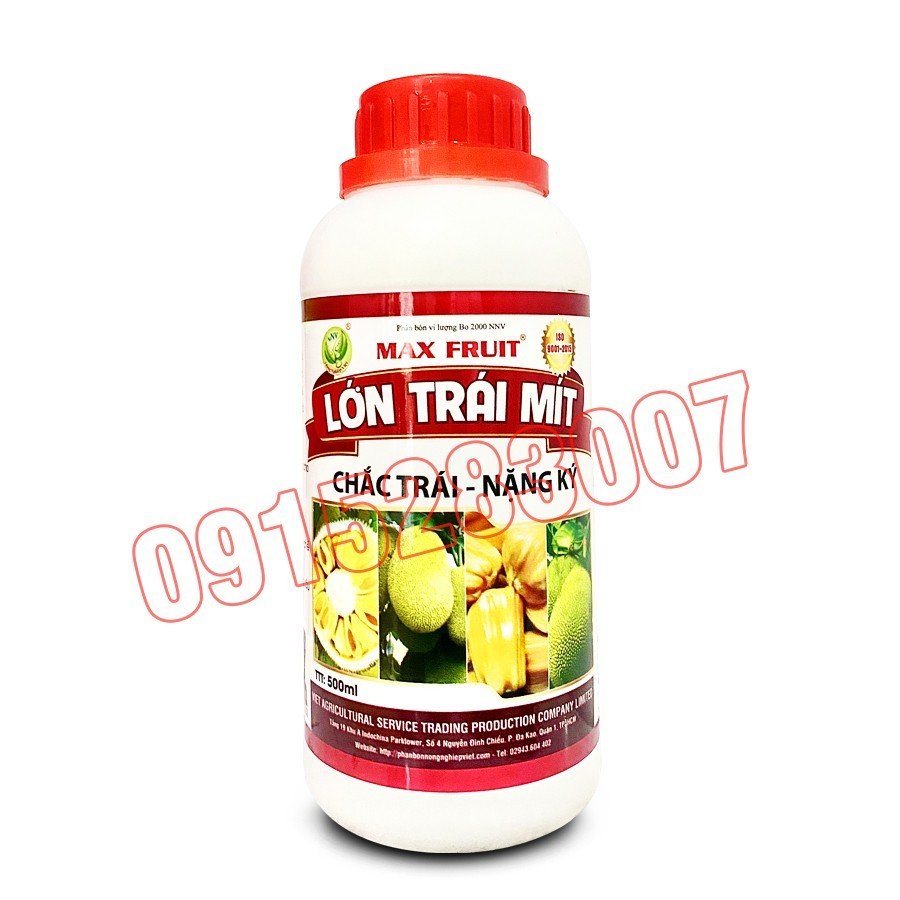 Max fruit Lớn trái mít Chai 500ml