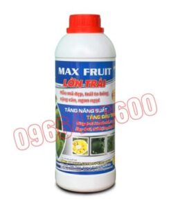 Max fruit Siêu lớn trái Chai 1 lít