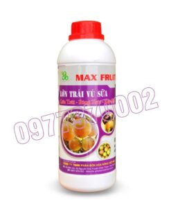 Max fruit Lớn trái vú sữa Chai 1 lít