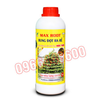 Max root Bung đọt ra rễ mai vàng Chai 1 lít