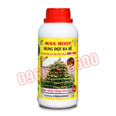 Max root Bung đọt ra rễ mai vàng Chai 500ml