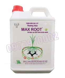 Max root Can 5 lít