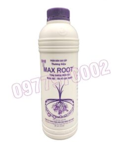 Max root Chai 1 lít