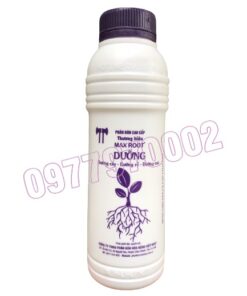 Max root Chai 500ml