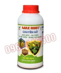 Max root Chuyên mít Chai 500ml