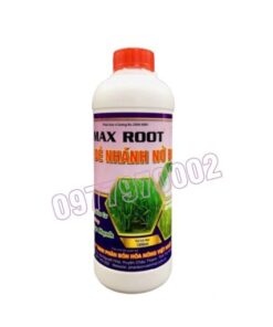 Max root Đẻ nhánh nở bụi Chai 1 lít