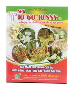NPK 10-60-10 Hộp 1kg