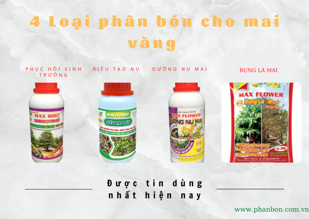 4 Loại phân bón cho mai tứ quý hiệu quả nhất hiện nay