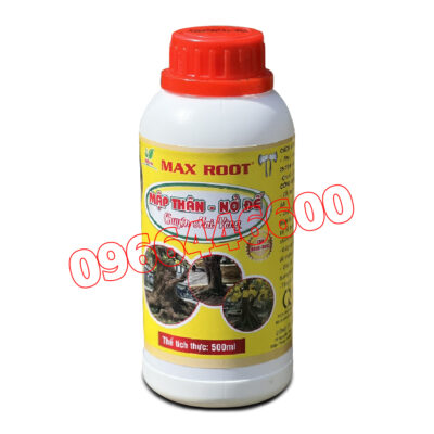 Max root Mập thân nở đế Chai 500ml