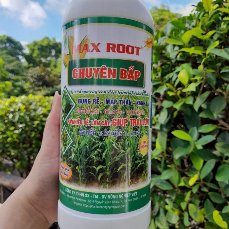 Max Rot Max root Chuyên bắp Chai 1 lít - PHÂN BÓN