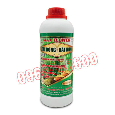 Max flower Lớn đòng dài bông Chai 1 lít