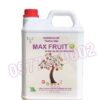 Max fruit Can 5 lít