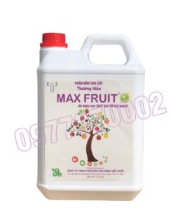 Max fruit Can 5 lít