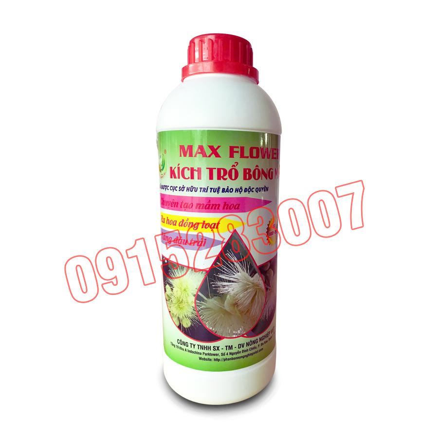 Max flower Kích trổ bông mận Chai 1000ml